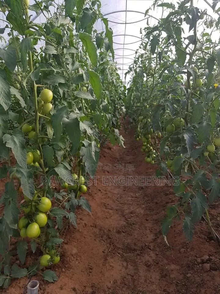Greenhouse Installation