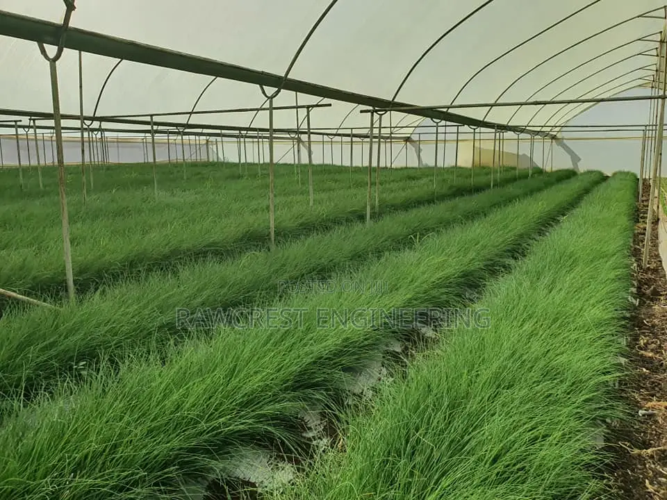 Greenhouse And Related Services