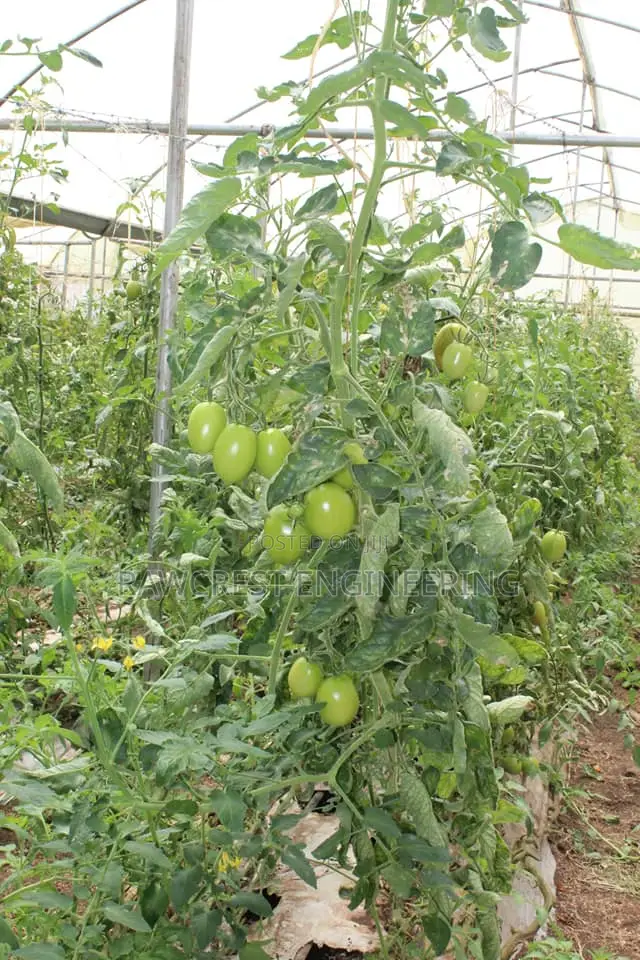 Greenhouse Construction