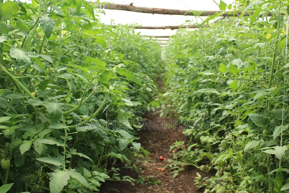Greenhouse Construction