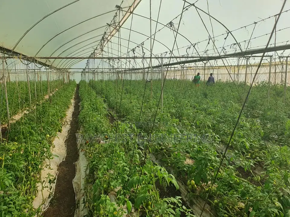 Greenhouse Construction