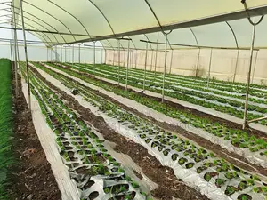 Greenhouse Installation
