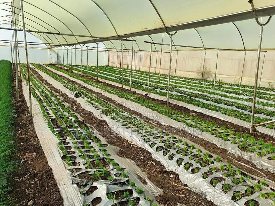 Greenhouse Installation