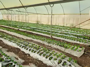Greenhouse Installation