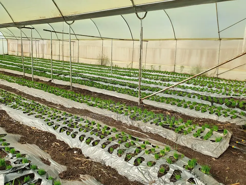 Greenhouse Installation