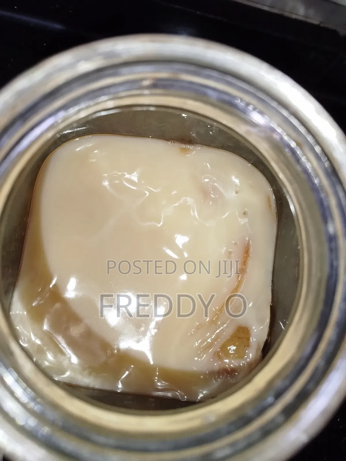 Kombucha Scoby
