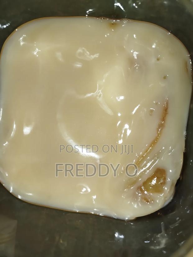 Kombucha Scoby - thumbnail 7