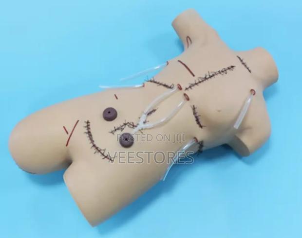 Surgical Suture and Bandage Manikin - main view