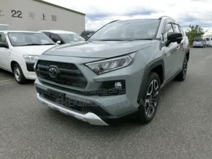 Toyota RAV4 2019 Blue