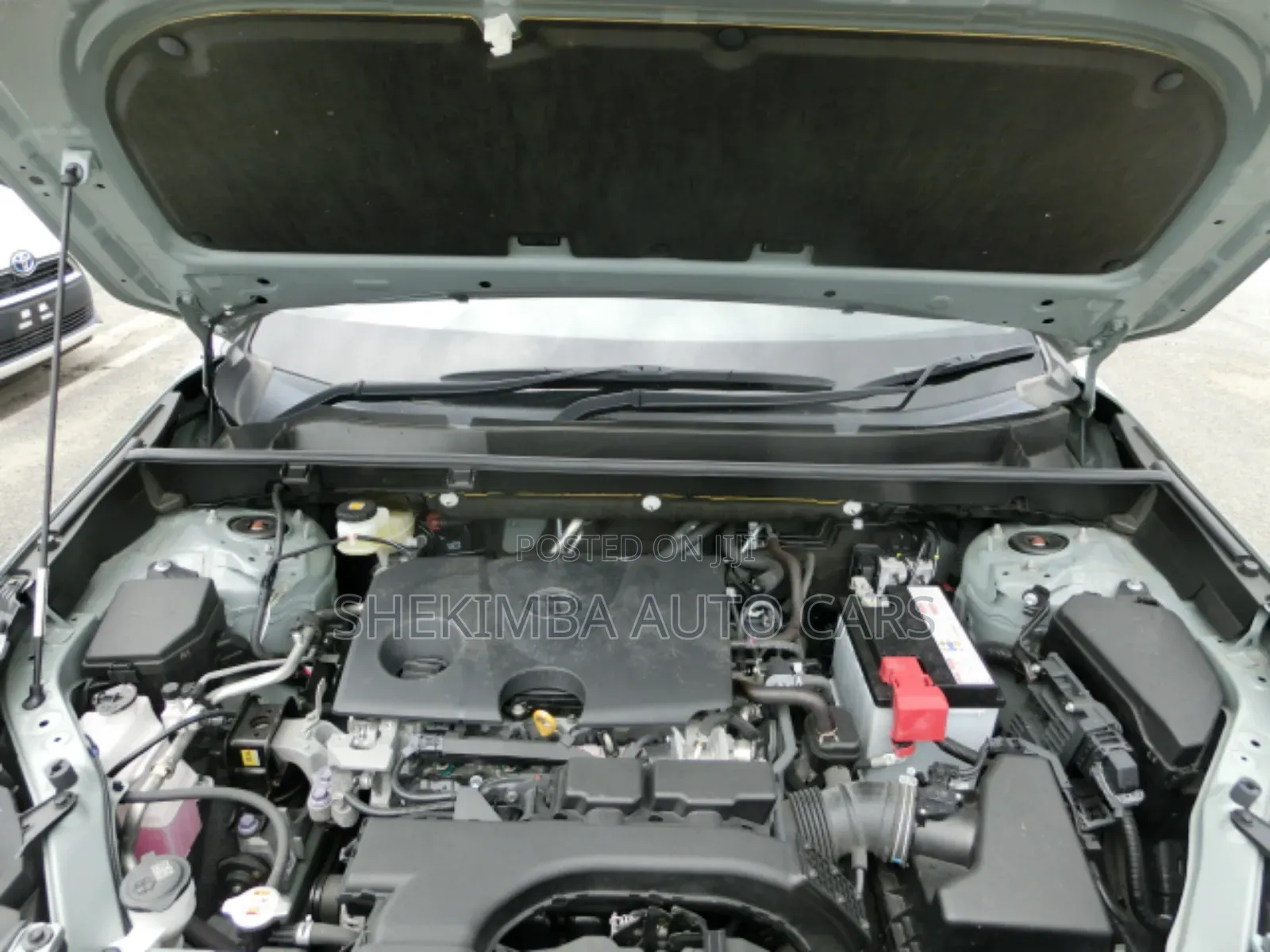 Toyota RAV4 2019 Blue