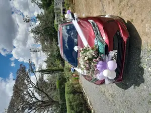 Wedding Vehicle Decoration
