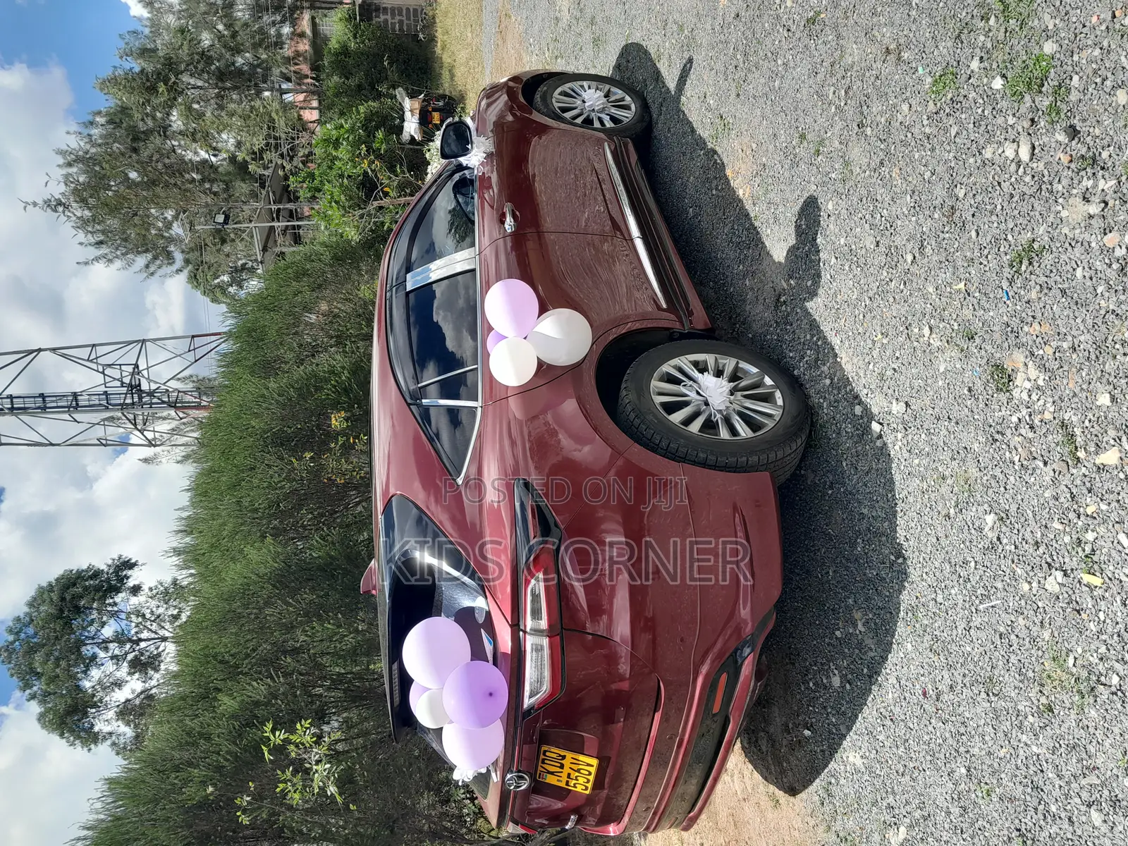 Wedding Vehicle Decoration