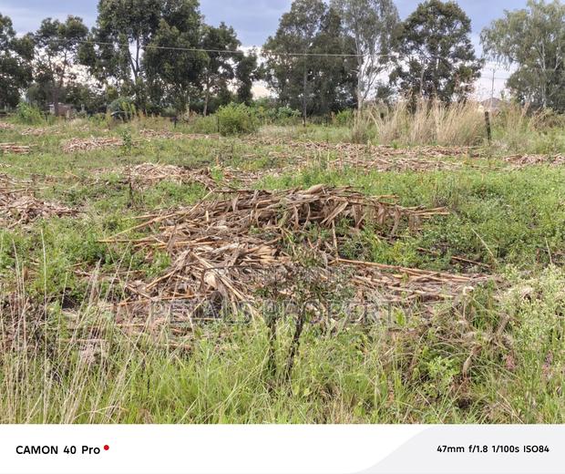 50*100 Plots on Sale in Kabarak Rafiki Touching Tarmac