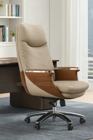 Comfort Meets Executive Standard Class Seat