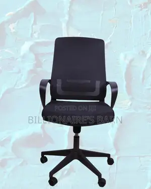 Quiet-roll Black Ergonomic Mesh Office Chair