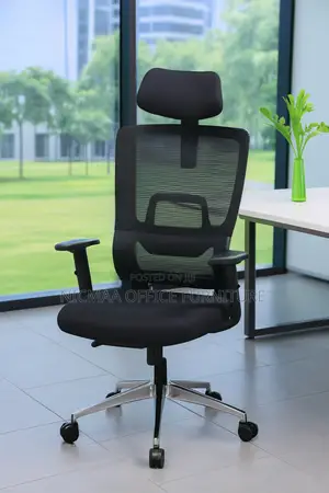 Ergonomic Mesh Office Chair With Adjustable Headrest Back Support