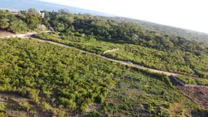 One Acre Second Row Land in Galu Diani on Sale!!