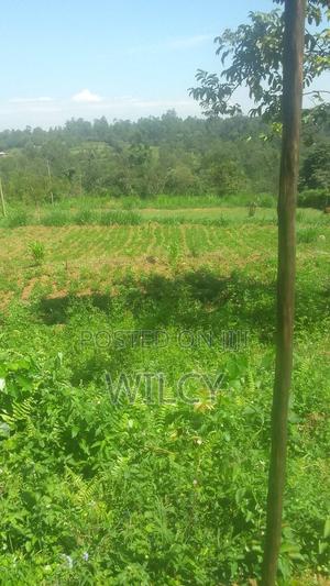 50 By 100 Land In Eldoret Nangili - thumbnail 2