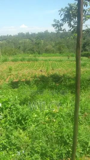 50 By 100 Land In Eldoret Nangili