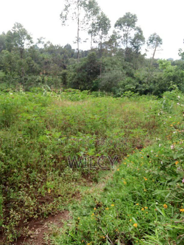 50 By 100 Land In Eldoret Nangili - thumbnail 3