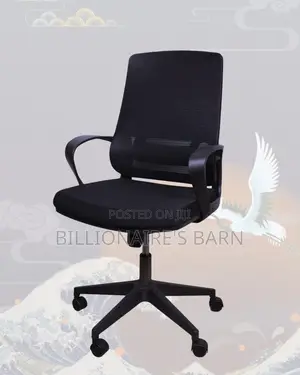 Best-Seller Black Ergonomic Mesh Office Chair | Lumbar Support