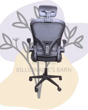 Grey Ergonomic Office Chair (Best-Seller) — Moving Fast