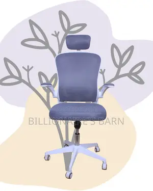 Imported White Ergonomic Office Chair | Mesh Backrest