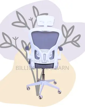 Imported White Ergonomic Office Chair | Mesh Backrest