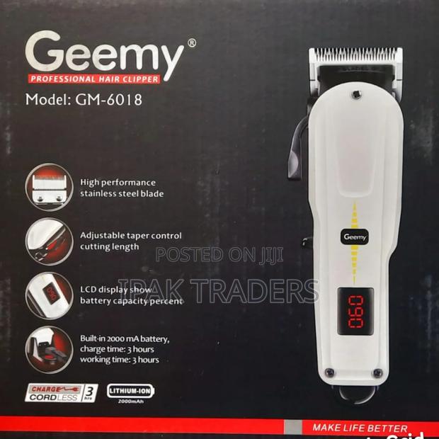 Gemei Gm Gm-6018 (Rechargeable) Professional Hair Clipper Trimmer