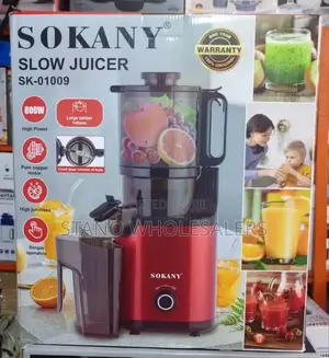 300watts Sokanny Slow Juicer