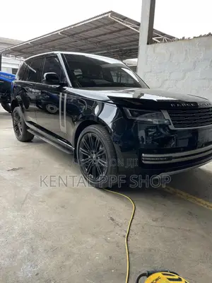 Car Wrapping And Ppf