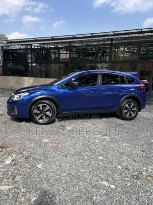 Car Wrapping And Ppf
