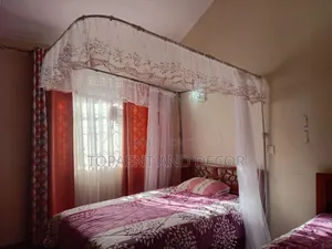 Aesthetic Two Stand Mosquito Net for Elegant Home Design