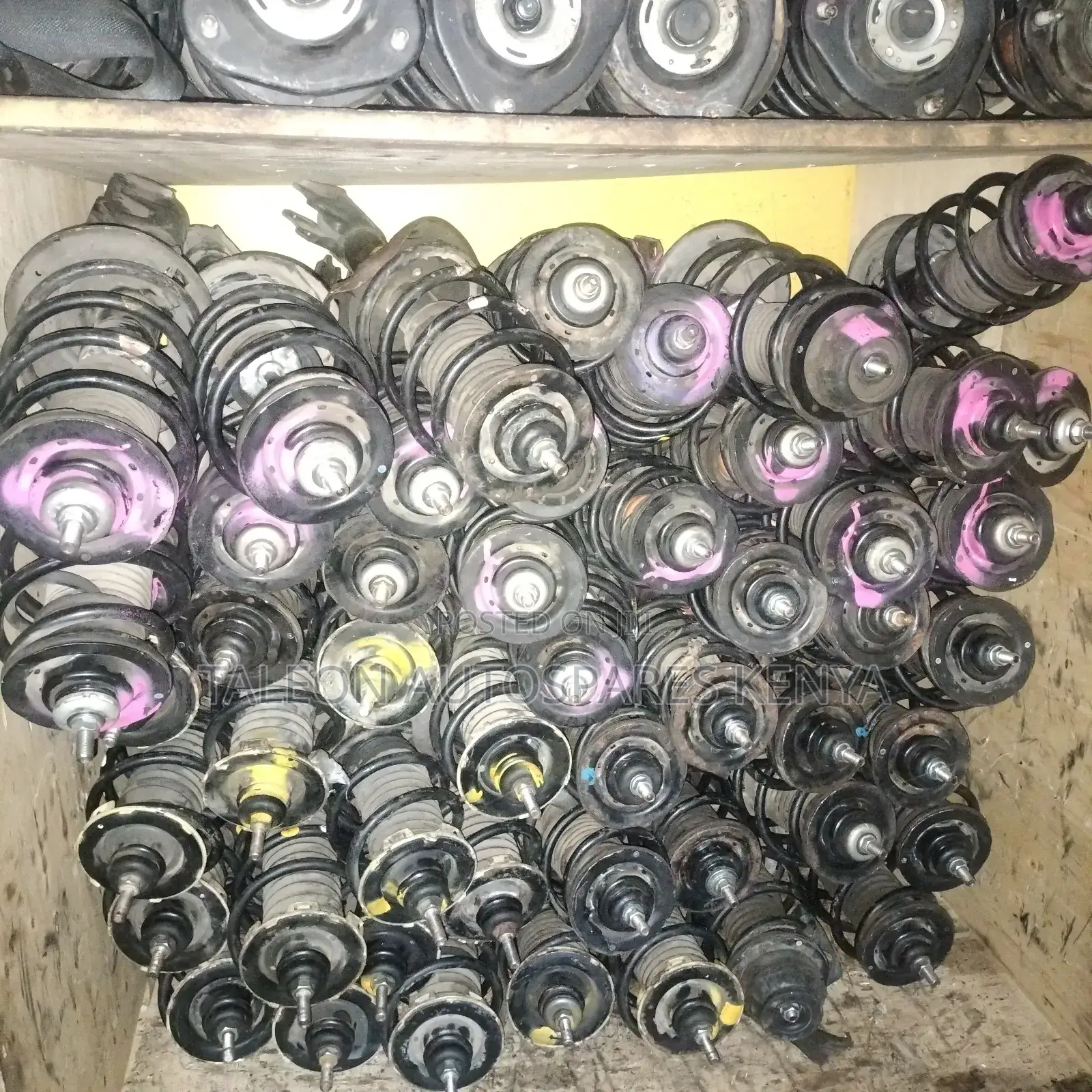 Axio 161 Complete Shocks