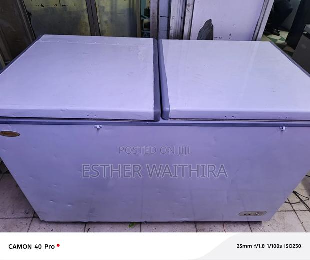 Two Door 500 Litres Deep Freezer - main view
