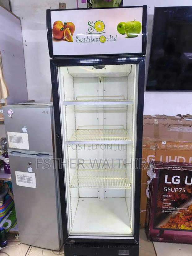 Chiler Display Fridge 500 Litres - main view