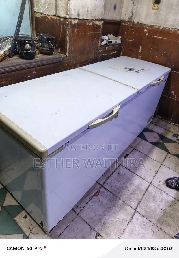 700 Litres Deep Freezer Two Door - thumbnail 3