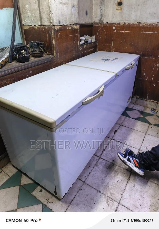 700 Litres Deep Freezer Two Door - thumbnail 4