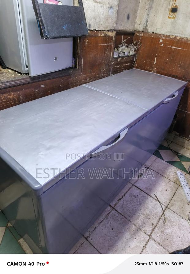 Grey 700 Litres Deep Freezer - main view