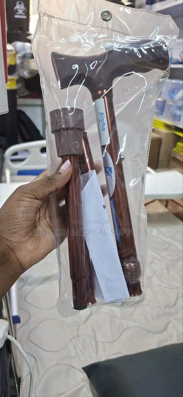 Fodable Walking Stick - main view