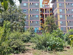 50x100 Commercial Plot Kirigiti Kiambu - main view