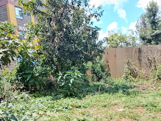 50x100 Commercial Plot Kirigiti Kiambu - thumbnail 2