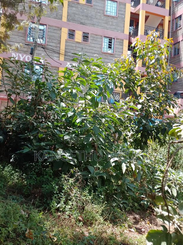 50x100 Commercial Plot Kirigiti Kiambu - thumbnail 3