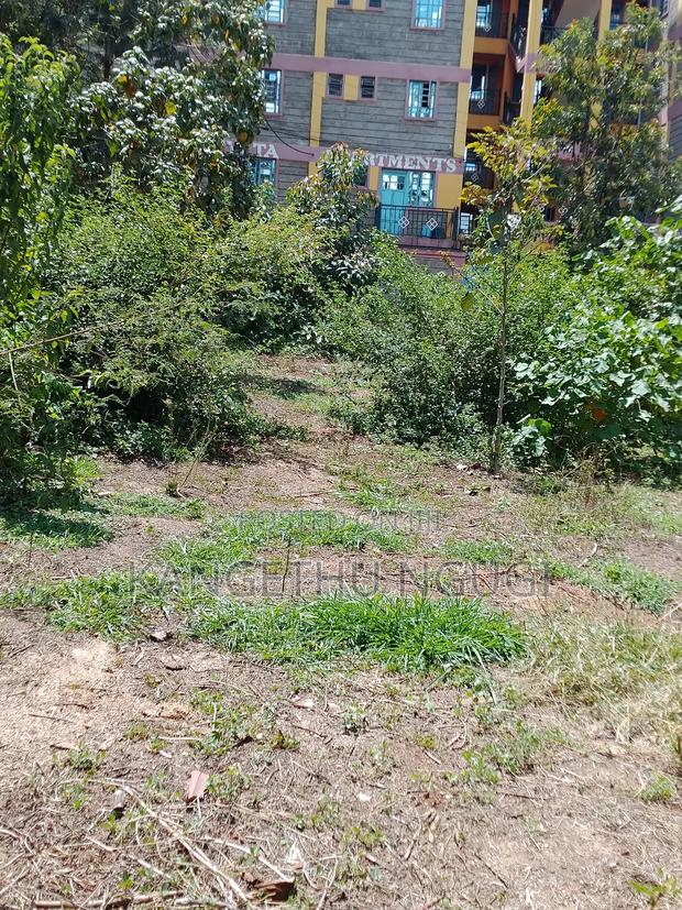 50x100 Commercial Plot Kirigiti Kiambu - thumbnail 4