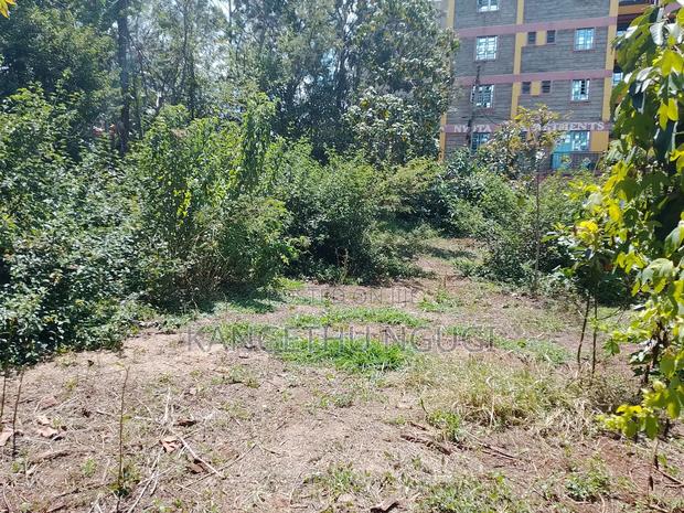 50x100 Commercial Plot Kirigiti Kiambu - thumbnail 5
