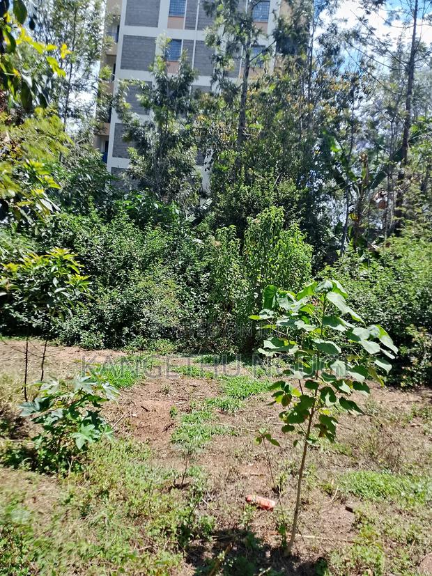 50x100 Commercial Plot Kirigiti Kiambu - thumbnail 6