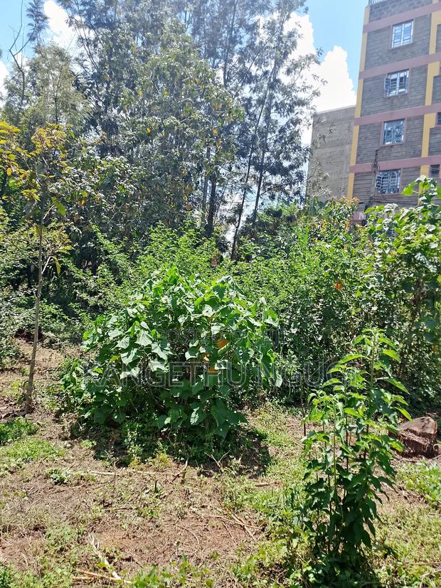 50x100 Commercial Plot Kirigiti Kiambu - thumbnail 7