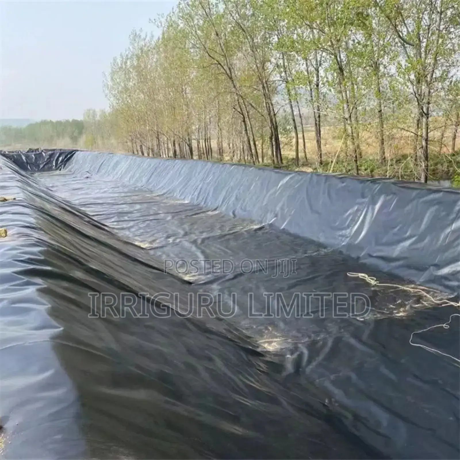 Liner Paper