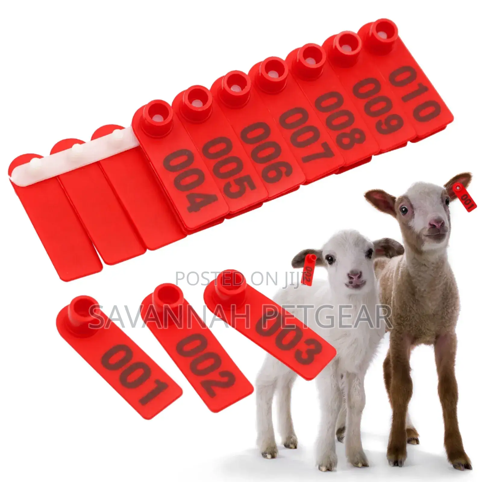 Laser Lettering Goat, Sheep Identification Mark Ear Tags