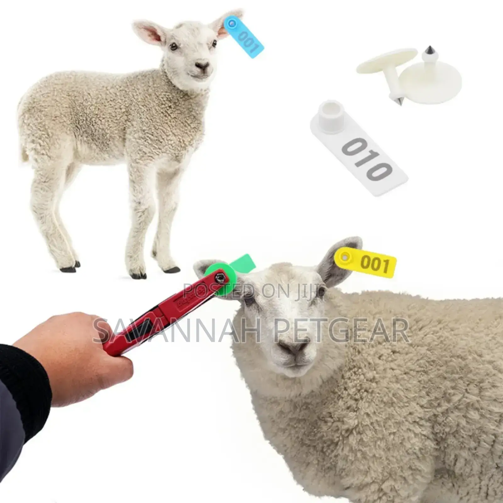 Laser Lettering Goat, Sheep Identification Mark Ear Tags